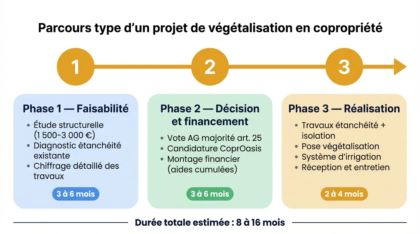 Infographie chronologique en trois phases d'un projet de végétalisation de toiture en copropriété : faisabilité 3-6 mois, décision et financement 3-6 mois, réalisation 2-4 mois